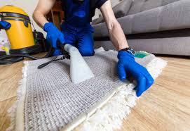 Shielding Your Spaces: Professional Carpet Cleaning for Security